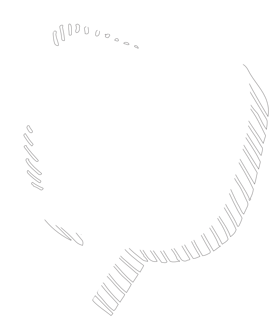 White outlined drawing of a speech bubble for support page