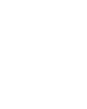 white outline of a lightbulb
